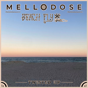 Twisted Up (with Beach Fly) cover