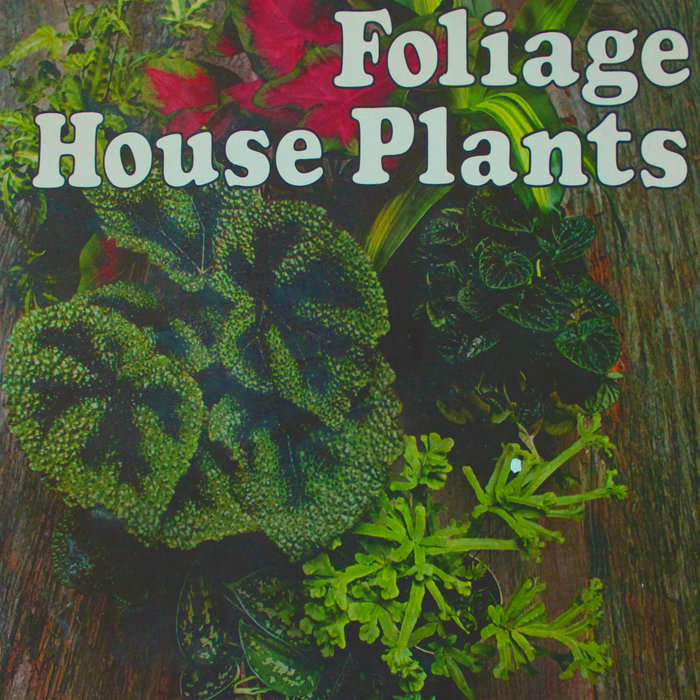 Foliage House Plants