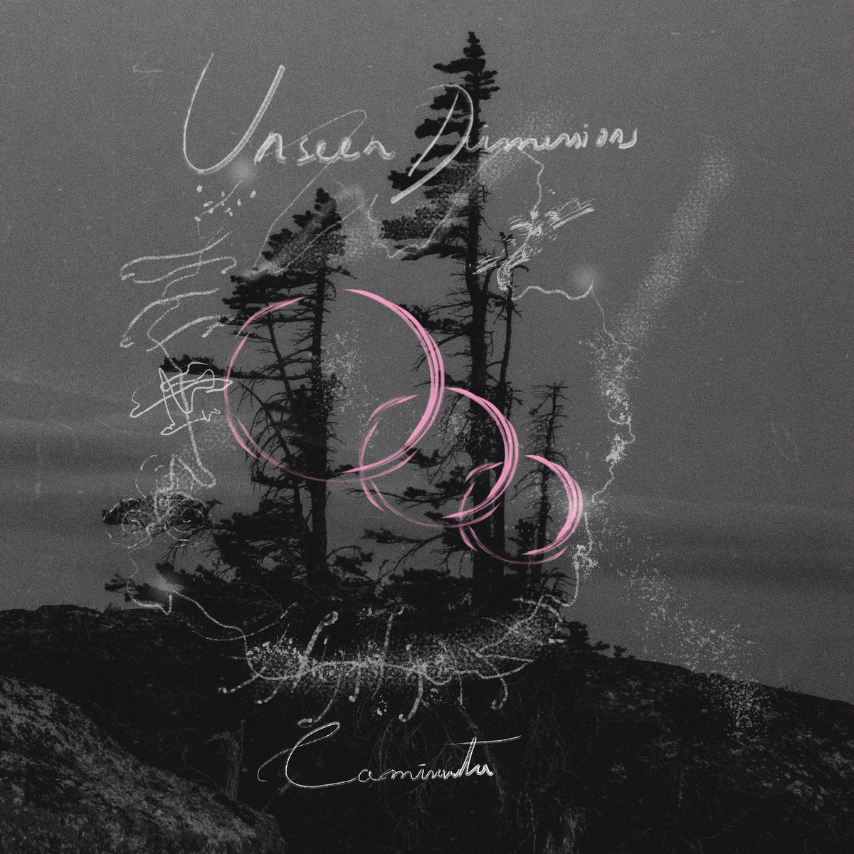Unseen Dimensions | Caminauta | Wayside & Woodland Recordings