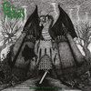 Dragon Citadel Elegies