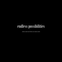 Endless Possibilities cover art