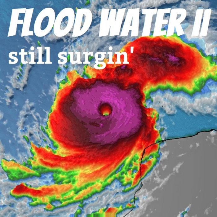 FLOOD WATER I & II STILL SURGIN' Vanderslice