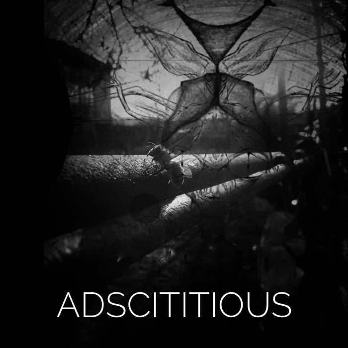 Adscititious Springfield ancientsoccer's collection | Bandcamp