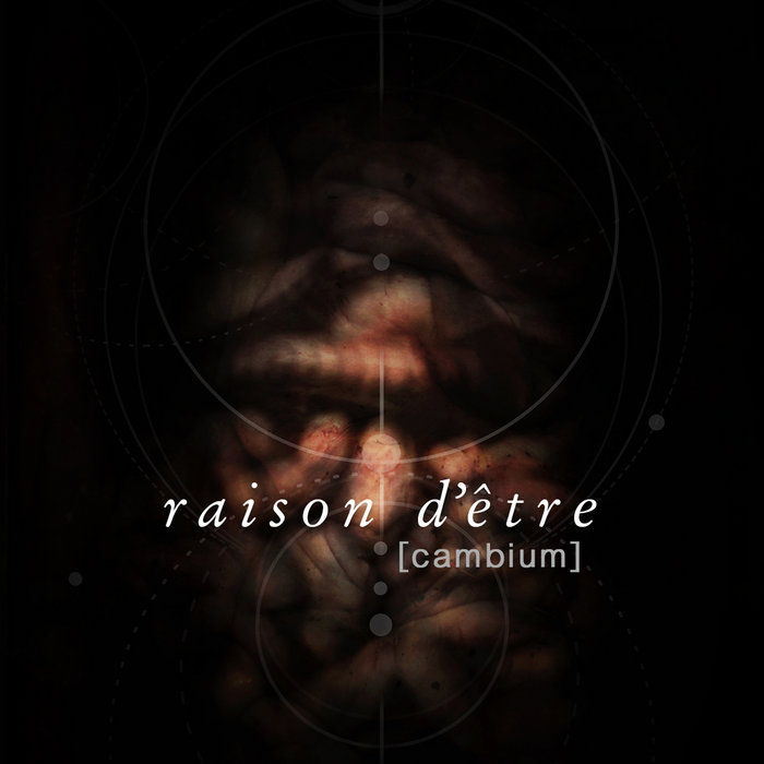 PaleNeØ / Raison d'etre Raison d'etre - YouTube