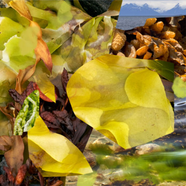 Safe (Exits) main photo