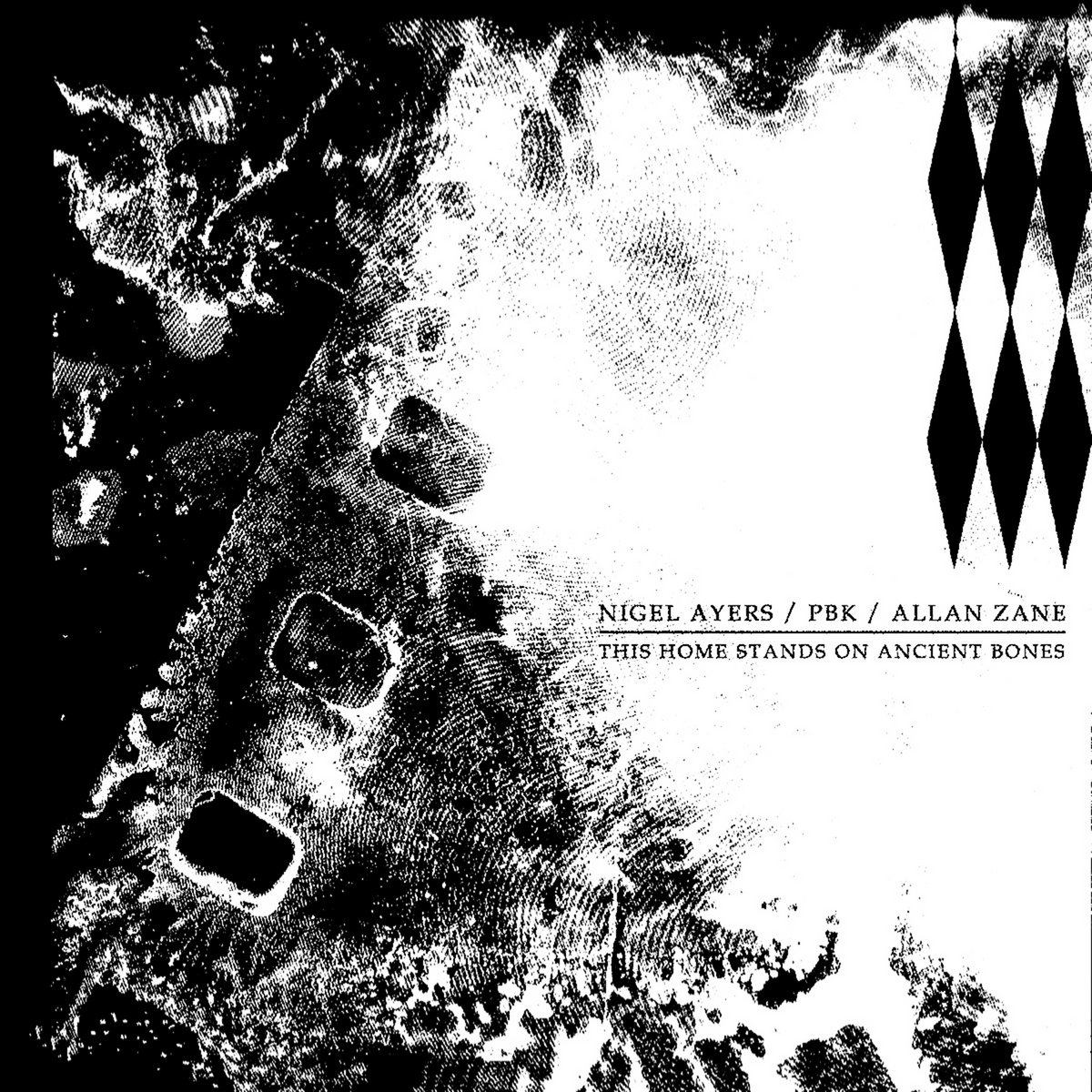 ZIZ | Das Synthetische Mischgewebe / PBK (SPLIT) | PBK