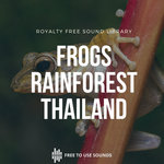 Rainforest Ambience | Frogs and Cicadas