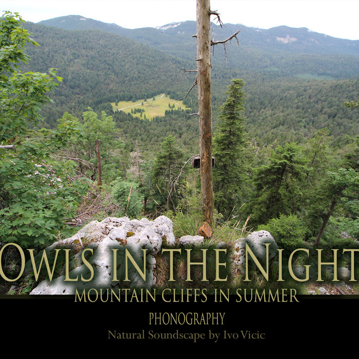 Owls in the night, mountain cliffs in summer - PHONOGRAPHY | Ivo Vicic - Whispering Owl Cat Cliffs Nuclear Aid