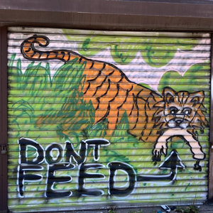 DONT FEED cover