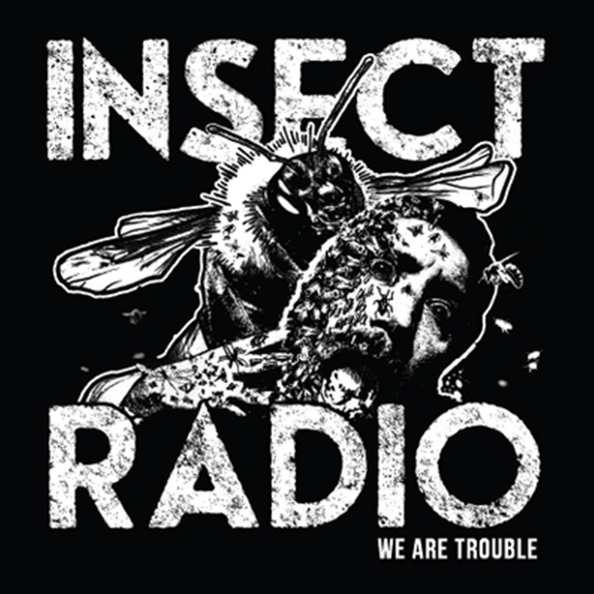 Steal A Coin From A Dead Man S Eye Insect Radio Steal A Coin From A Dead Man S Eye Insect Radio