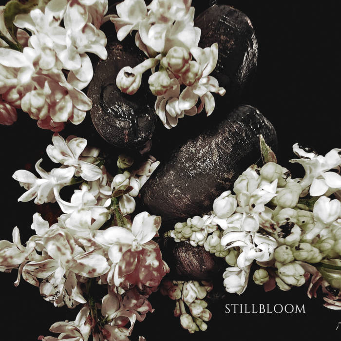 Songs for the Enamel Queen | Black Sheep Wall | Silent Pendulum