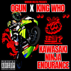 Kawasaki Ninja Endurance cover