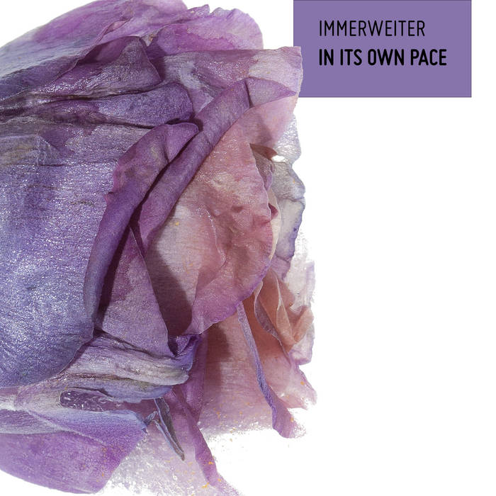 In its own pace
by IMMERWEITER