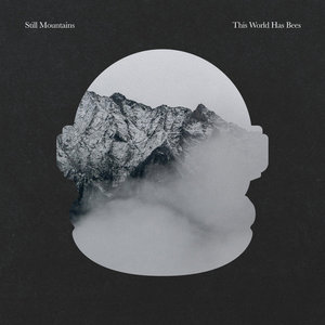 Still Mountains — Split LP- This World Has Bees