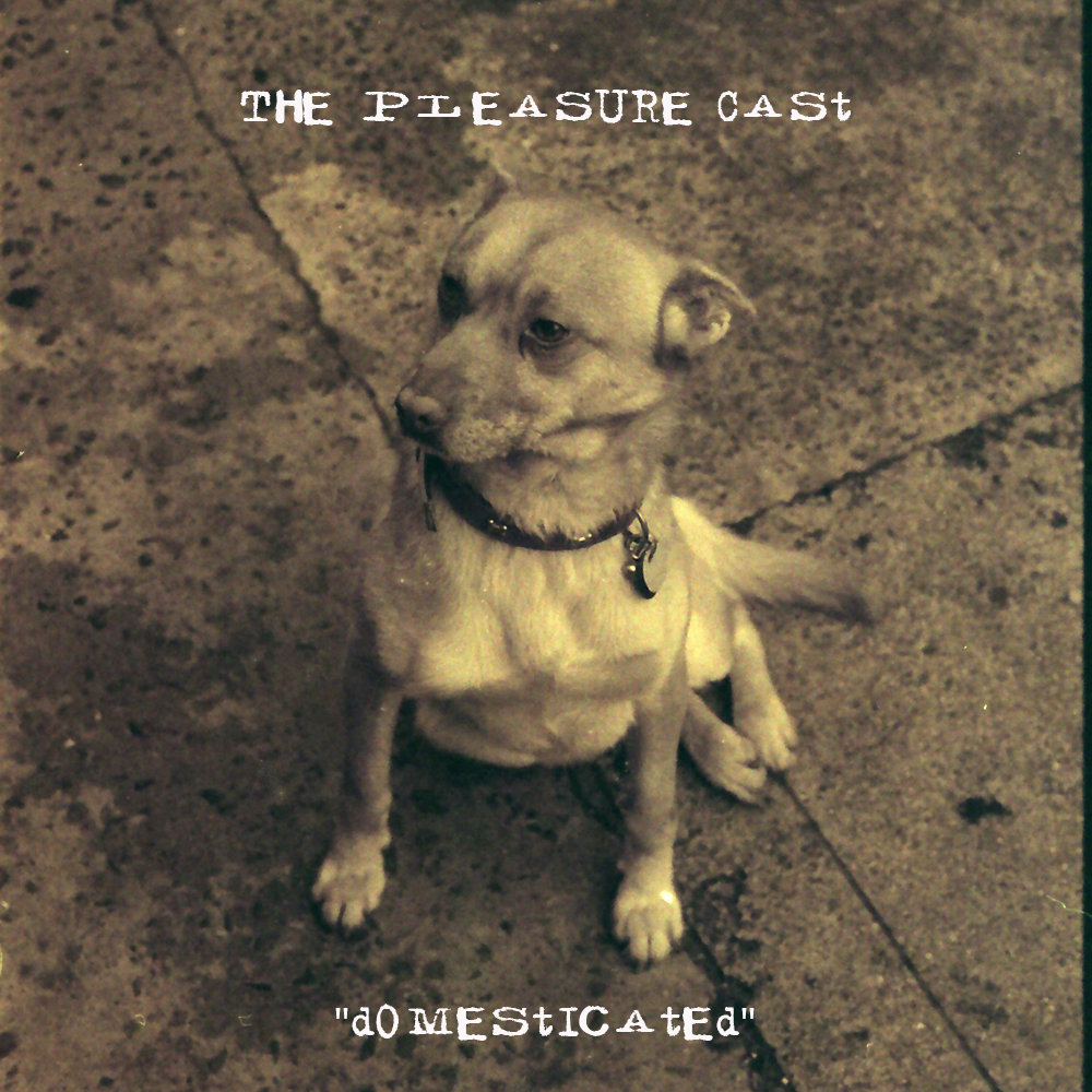 XIII: Domesticated E.P. cover