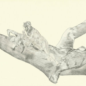 The Van Allen Belt — Heaven On A Branch