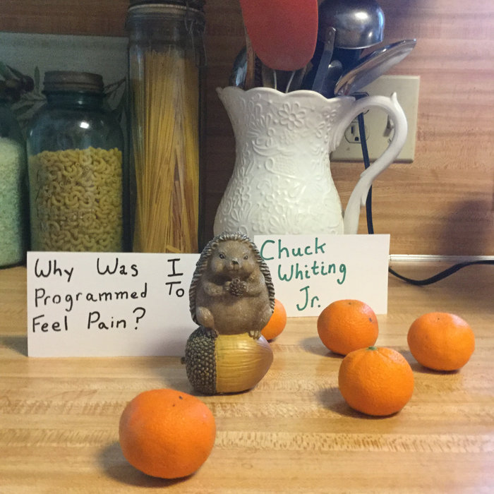 Why Was I Programmed To Feel Pain Why Was I Programmed To Feel Pain? | Chuck Whiting Jr.