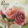 Rose (Instrumental)