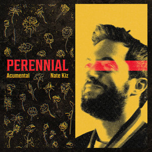 The Palmer Squares — PerennialAcumental & Nate Kiz
