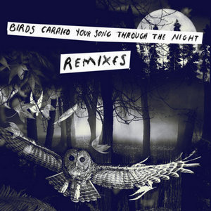 Birds Carried Your Song Through the Night REMIXES cover