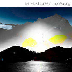 The Waking cover
