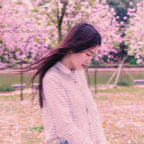 Hanami in Tokyo cover art