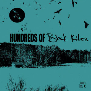 Hundreds of Black Kites cover