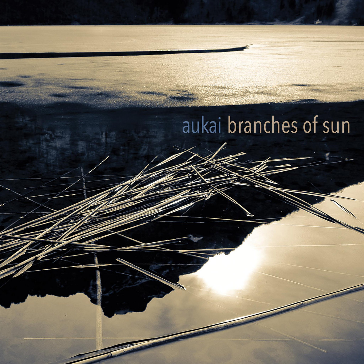 Image result for branches of sun aukai