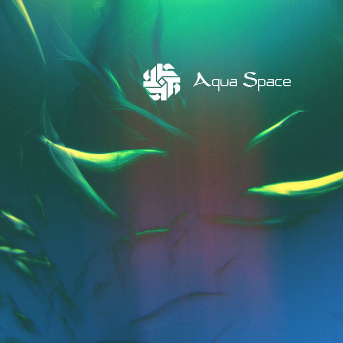 Aqua Space | The Rosen Corporation