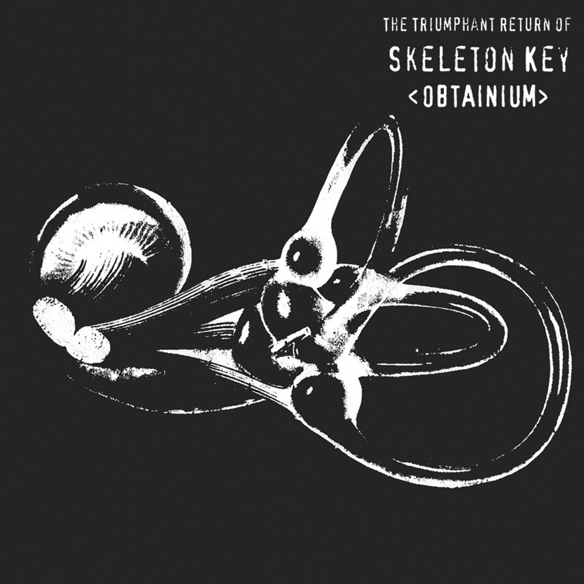 Obtainium | Skeleton Key