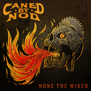 None The WiserCaned By Nod cover