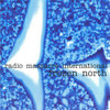 frozen north