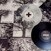 S/T Falsos Positivos