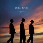 Diffident Daffodils - Indifferent