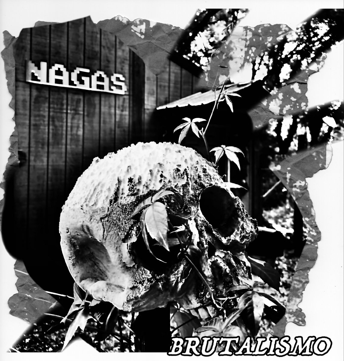 brutalismo-nagas