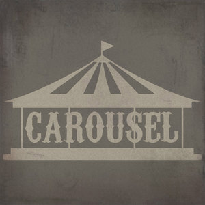 Carousel cover