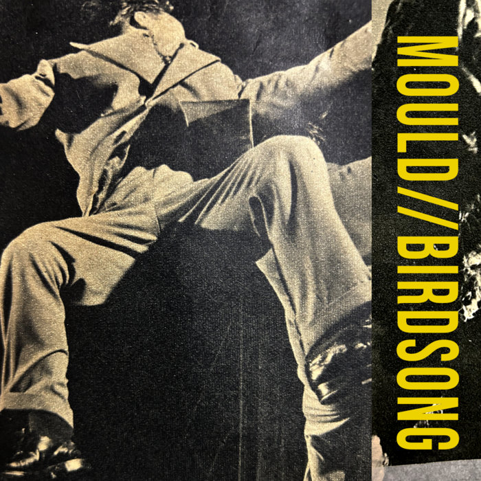 Splorn Birdsong | MOULD