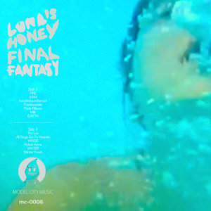FINAL FANTASY cover
