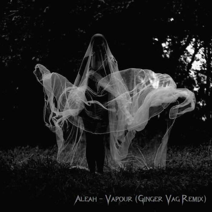 Aleah - Vapour (Ginger Vag Remix) | Ginger Vag