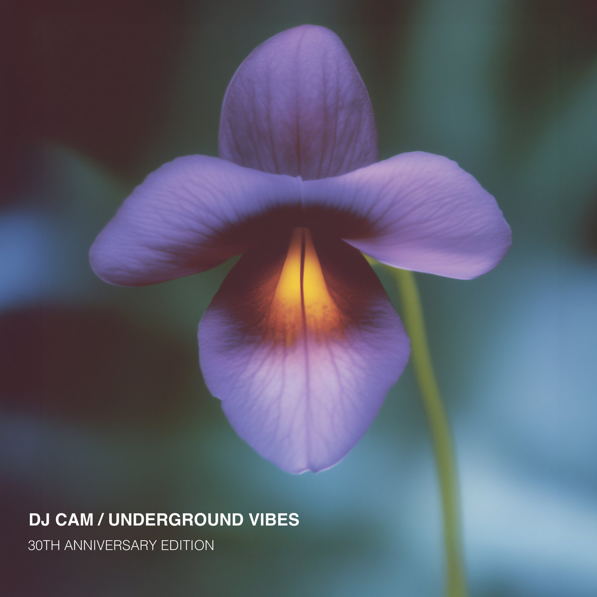 レコード DJ CAM / UNDERGROUND VIBES DJ Cam - Underground Vibes (30th Anniversary) (Limited Edition