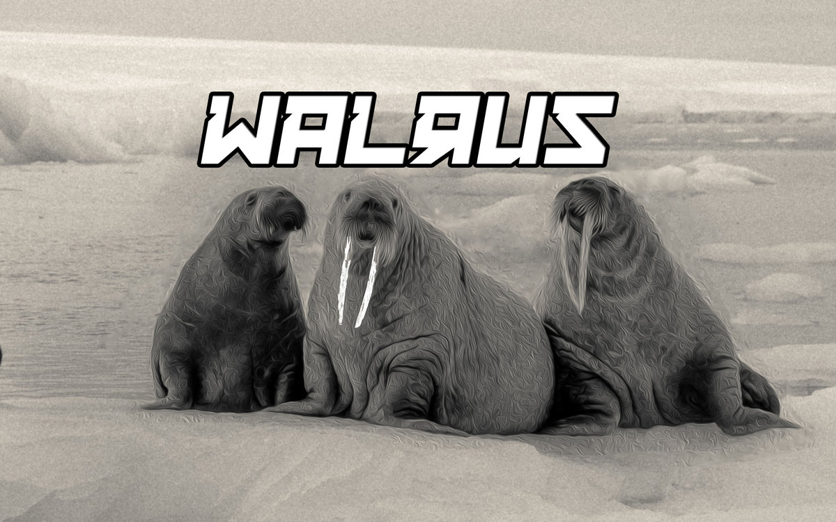 Walrus cover
