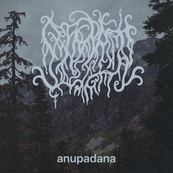 Cover of anupadana