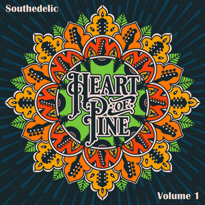 Southedelic: Volume 1 cover