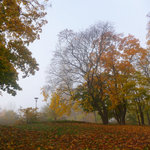 Södermalm In Autumn