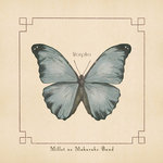 Morpho