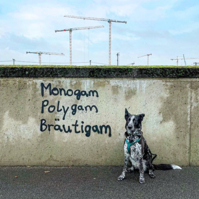 Allgemeine Ernüchterung gegenüber der Allgemeinheit | Monogam Polygam ...