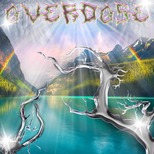 OVERDOSE cover