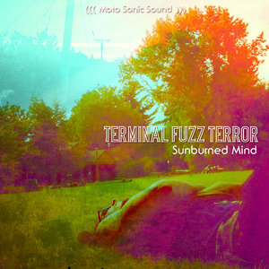Sunburned Mind (2013) cover