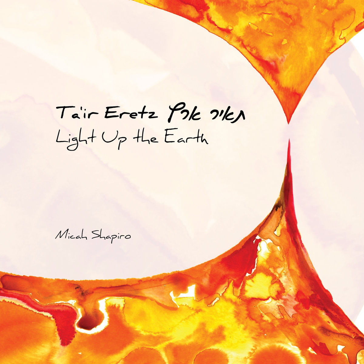 Ta'ir Eretz (Light Up The Earth) - 2019 | Micah Shapiro