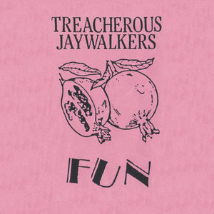 Fun cover